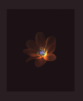1589382033592.png