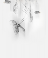1589382600685.png