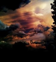 549480A8-49CC-4F77-9B9F-642C32CE43E3.jpeg