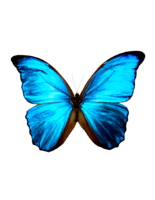 1589816300520.png