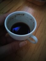 IMG_20200522_064921.jpg