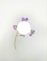 1590240249882.png