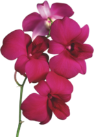 1590243018881.png