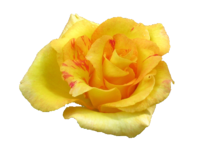 1590243100078.png