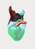 1590246117667.png