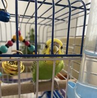B59BB095-6F71-405C-8DAF-8E7E6DE333D7.jpeg