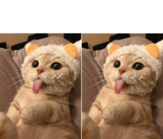 1640966481384.png