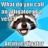 images (12).jpeg images (12).jpeg