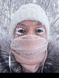 USER_SCOPED_TEMP_DATA_orca-image-1972381375.jpeg