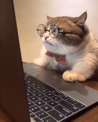 1643402909364.png 1643402909364.png