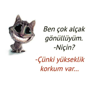 1644098692921.png