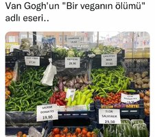 4DDC60C1-8484-4357-BAA9-4F061B4E7244.jpeg