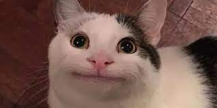 1645563567029.png 1645563567029.png