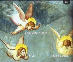 images (11).jpeg