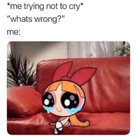 1647633183173.png