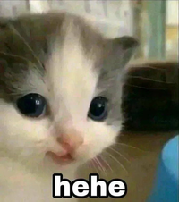 1648209740802.png