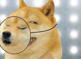 1648652851952.png