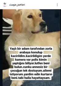 20220415_071617.png