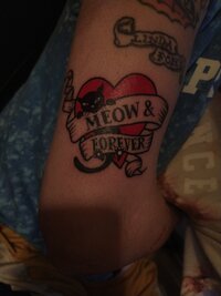 IMG_20220211_223043.jpg