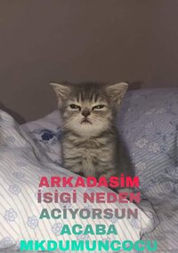 Picsart_22-04-23_05-43-39-934.jpg