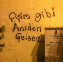 20201015_115153.jpg