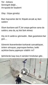 Screenshot_20220507-173121~2.jpg