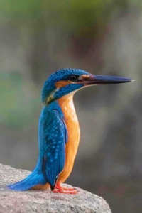 69977043-55B1-4E8A-8CEF-721FECA3C6E7.png