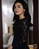 1590868180131.png