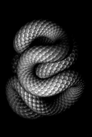 1591481578407.png
