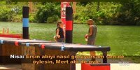 images (42).jpeg
