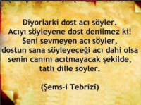 1591647412205.png