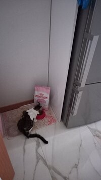 20220521_074758.jpg