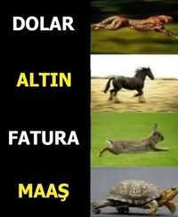 FB_IMG_1654423282510.jpg