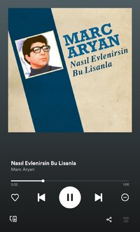 Screenshot_20220608-093933_Spotify.jpg