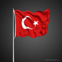 turkey-flag.gif