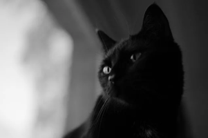 1656320718646.png