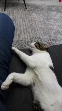 20220721_012634.jpg