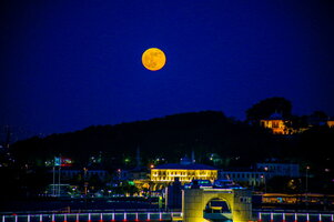 14683772-3EE3-4227-8AE5-34628ADA6D38.jpeg