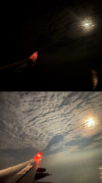 55F4401A-BF07-448B-8F5C-CE5198EBE090.jpeg
