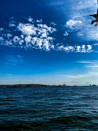 096026AC-8EF0-488A-938A-4BDCD1958B93.jpeg