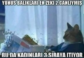 FB_IMG_1664619227638.jpg