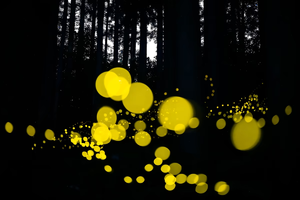 1665162617111.png 1665162617111.png