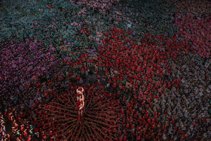 1665164451573.png