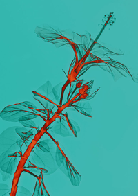 1665213729242.png