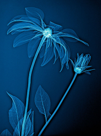 1665213738115.png