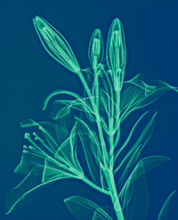 1665213815706.png