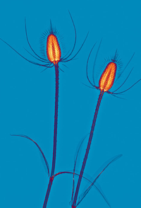 1665213954011.png