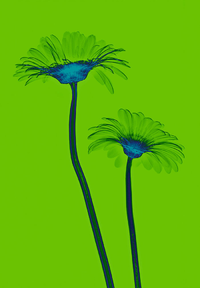 1665213965210.png