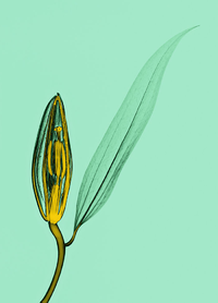 1665213981915.png