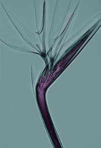 1665214000988.png
